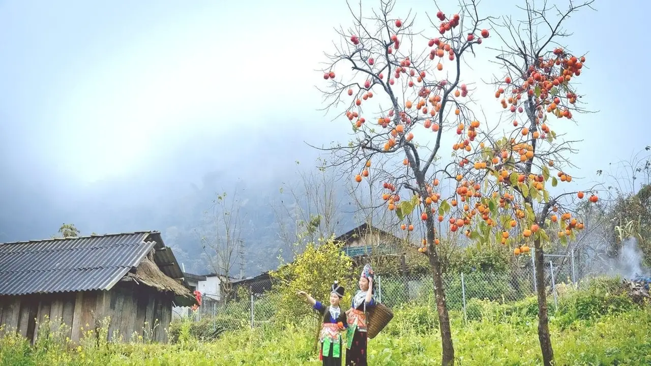 طقس متقلب.. هطول أمطار صباحية وضباب كثيف يتبعه سطوع شمس الظهيرة